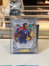 Estêvão Willian - back