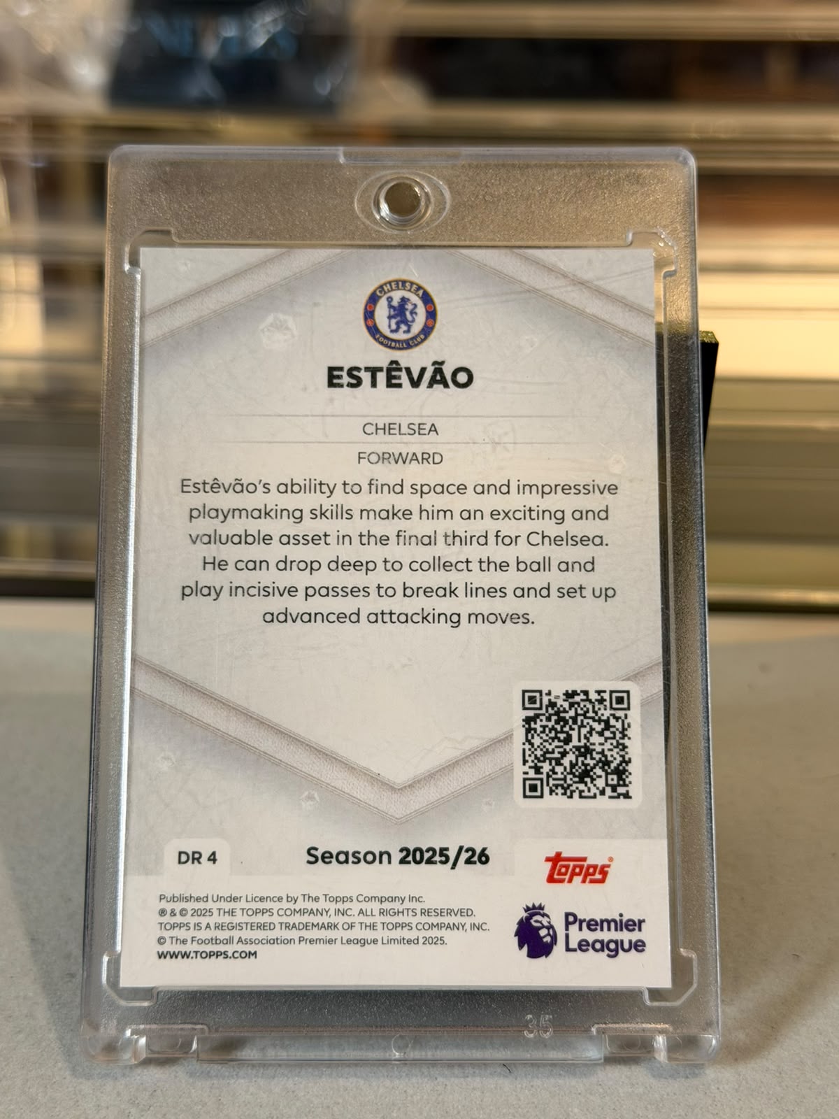 Estêvão - back