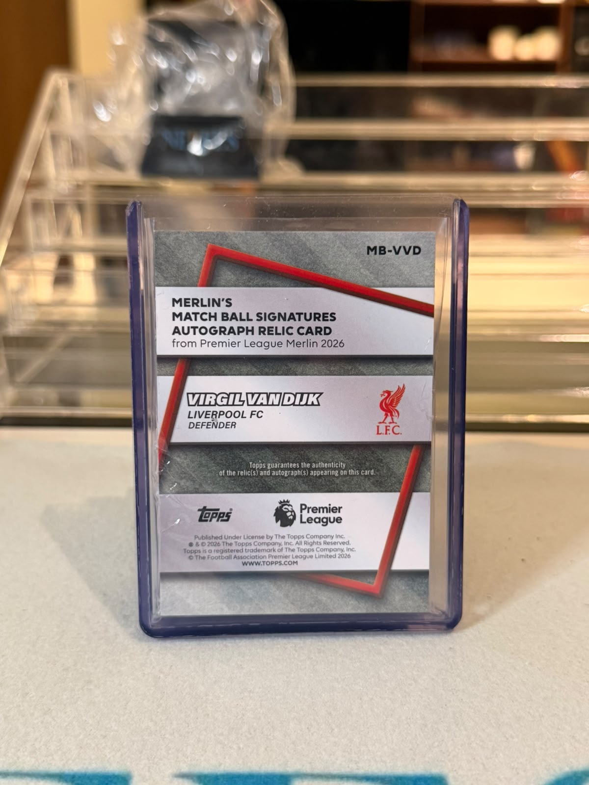 Virgil van Dijk - back
