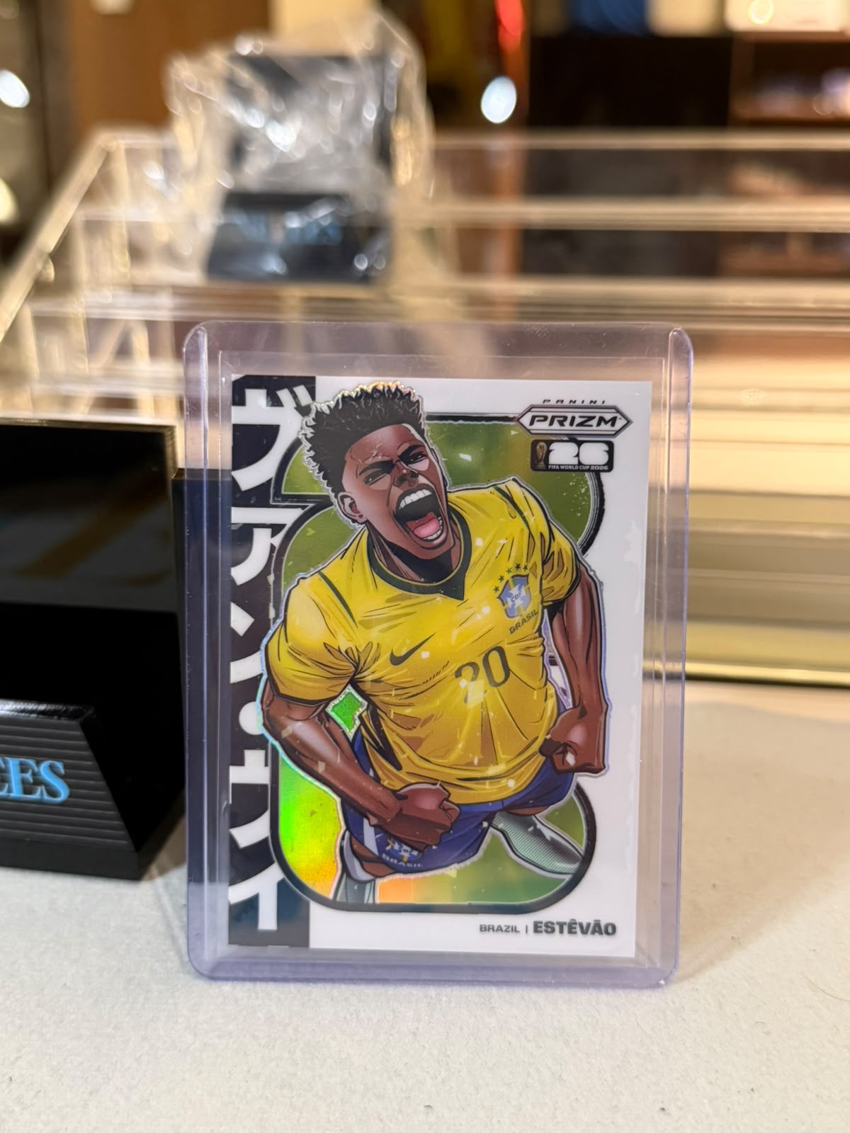 Estevao illustrated artwork insert front