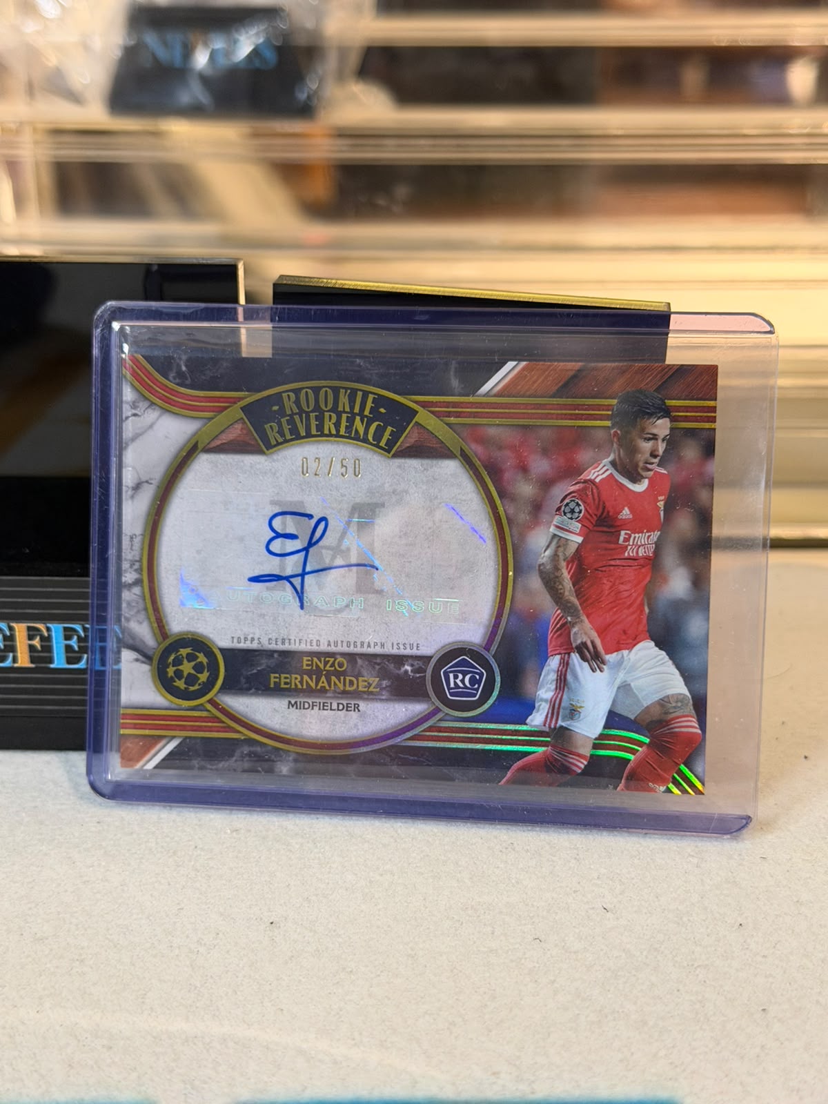 Enzo Fernandez Benfica C0000836 back