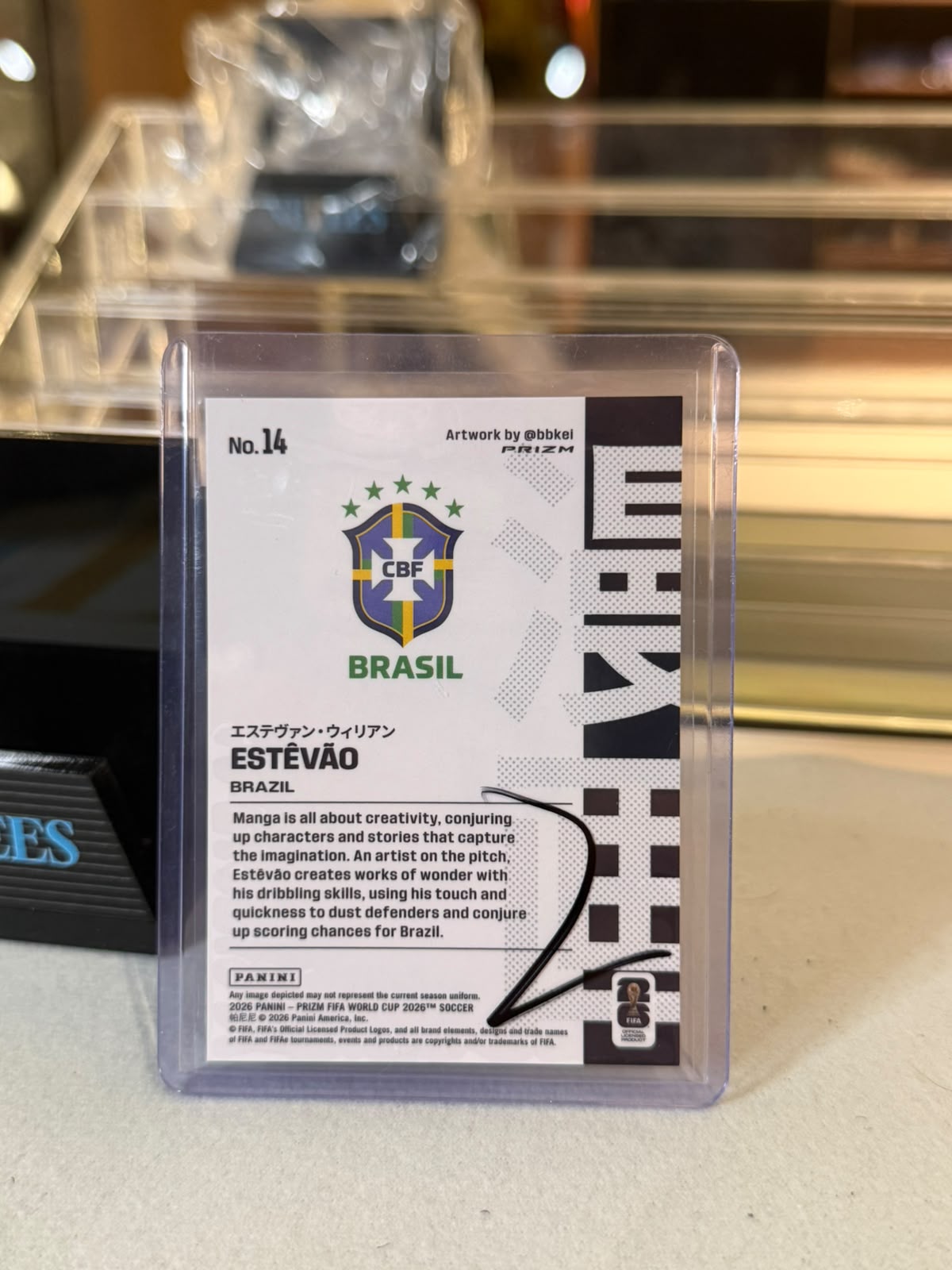 Estevao illustrated artwork insert back