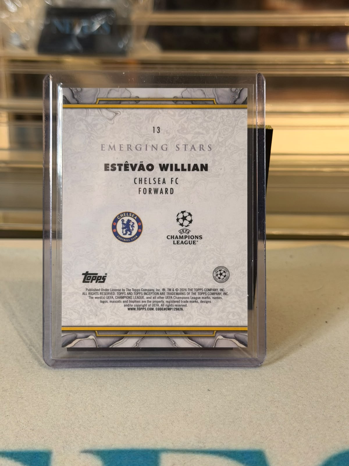 Estêvão Willian - back