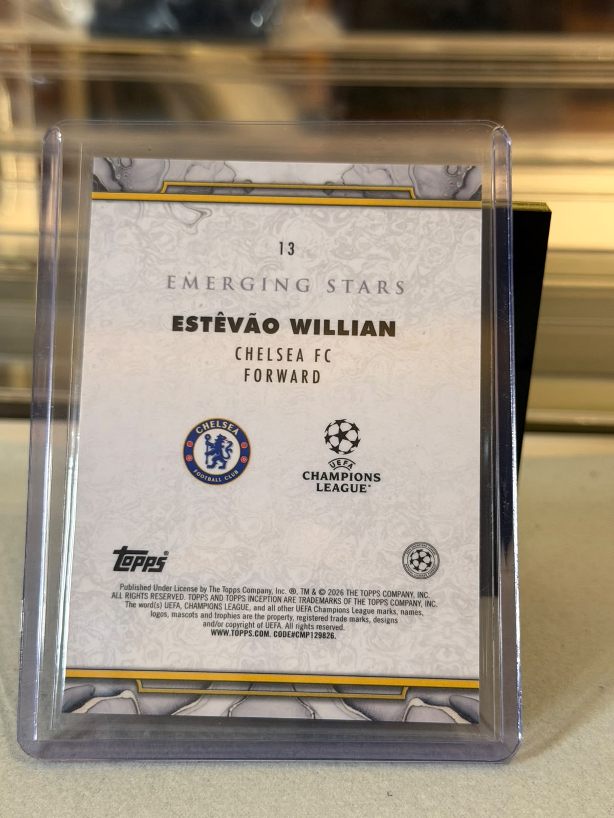 Estêvão Willian - back