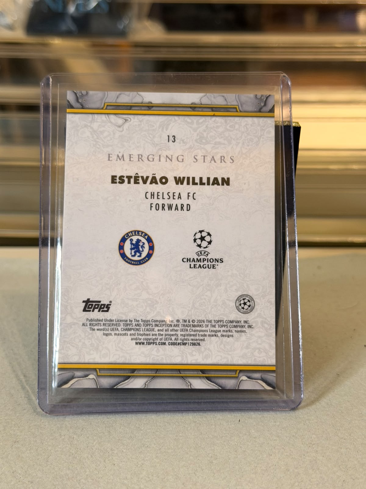 Estêvão Willian - back