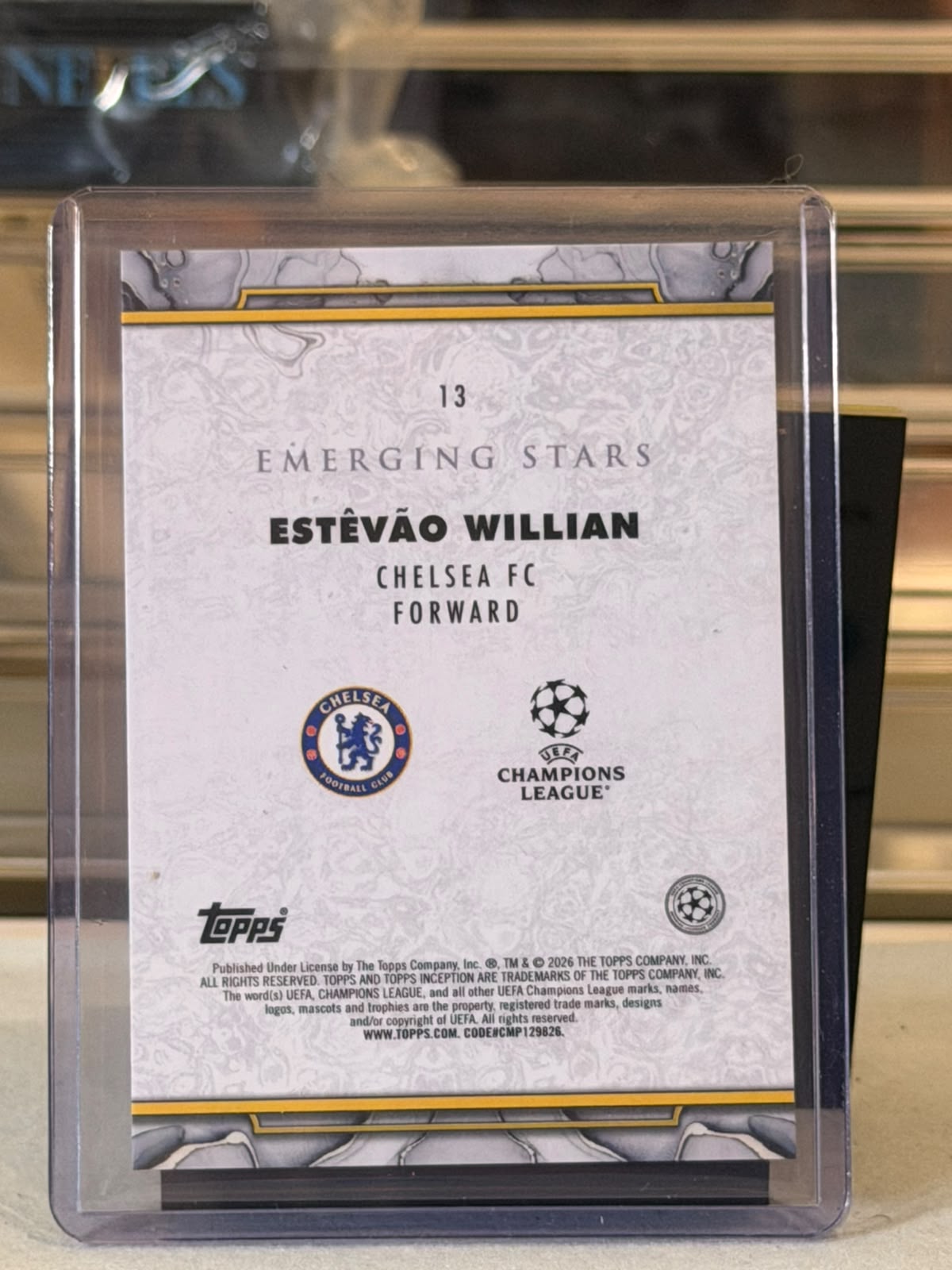 Estêvão Willian - back