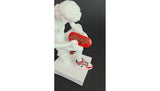 "Spinario Fail" by Santicri, signature and certificate detail